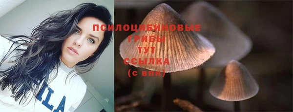 мескалин Алексин