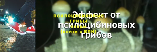 индика Киреевск