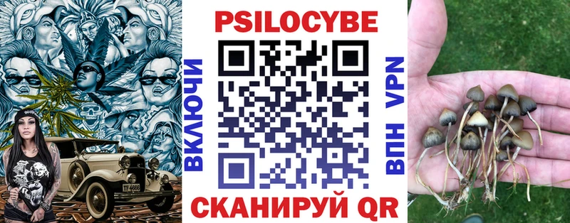 купить наркоту МЕГА tor Псилоцибиновые грибы Cubensis Аткарск